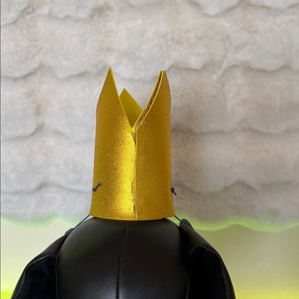 HANDCRAFTED Pet  Gold Birthday Crown this says 10 this was a mock up